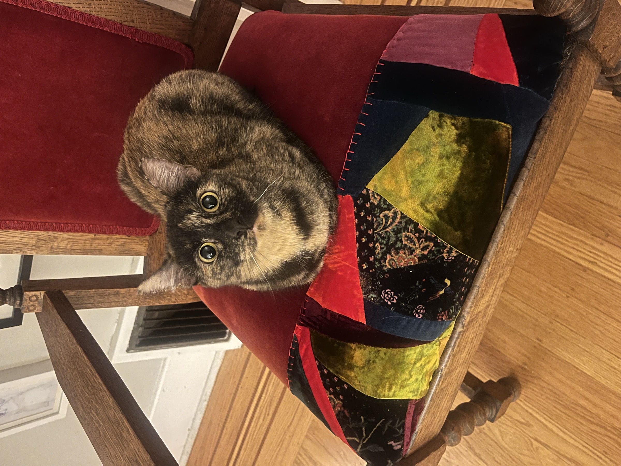 Patchwork chair detail ft. Sophie